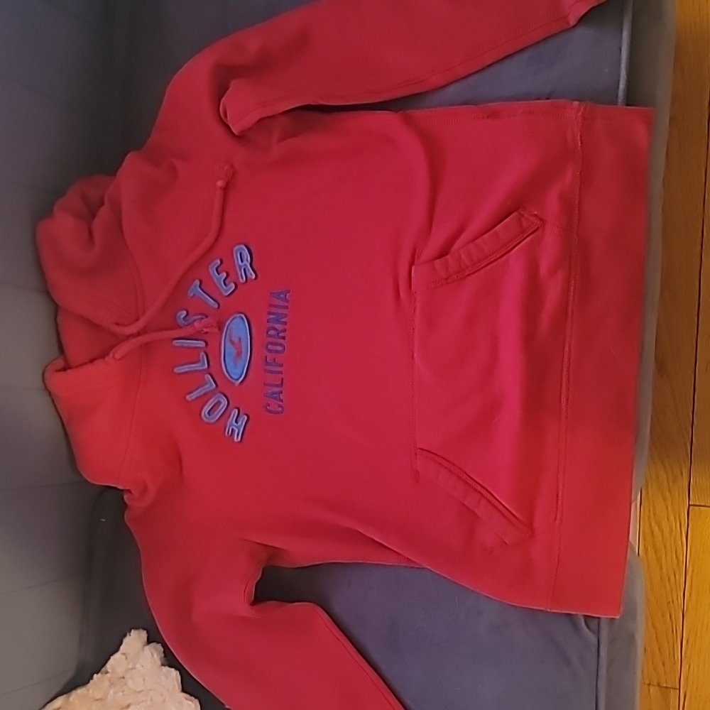 Hollister hoodie